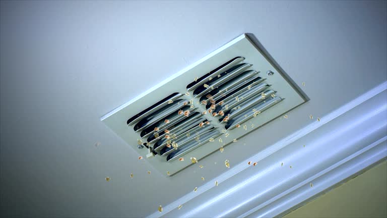 Best Best Air Duct Cleaning Company  in Orchards, WA