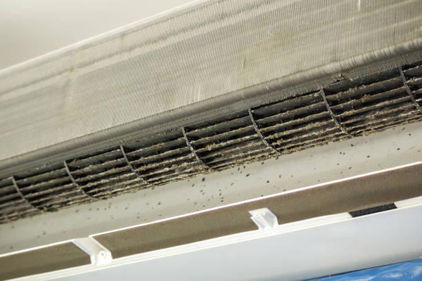 Best Air Duct Sanitizing Services  in Orchards, WA